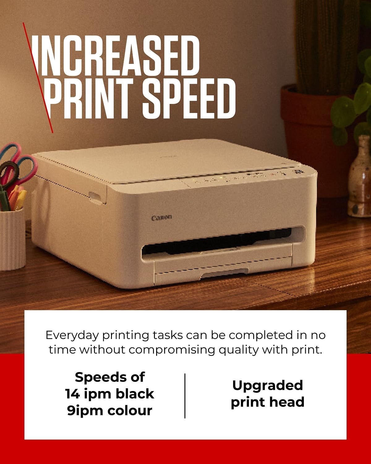 https://m.media-amazon.com/images/I/71FdCFFmwDL._AC_SL1500_.jpg